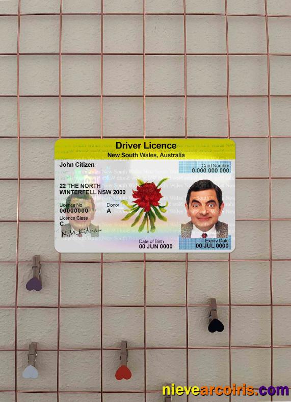 Australia New South Wales driving license photolook